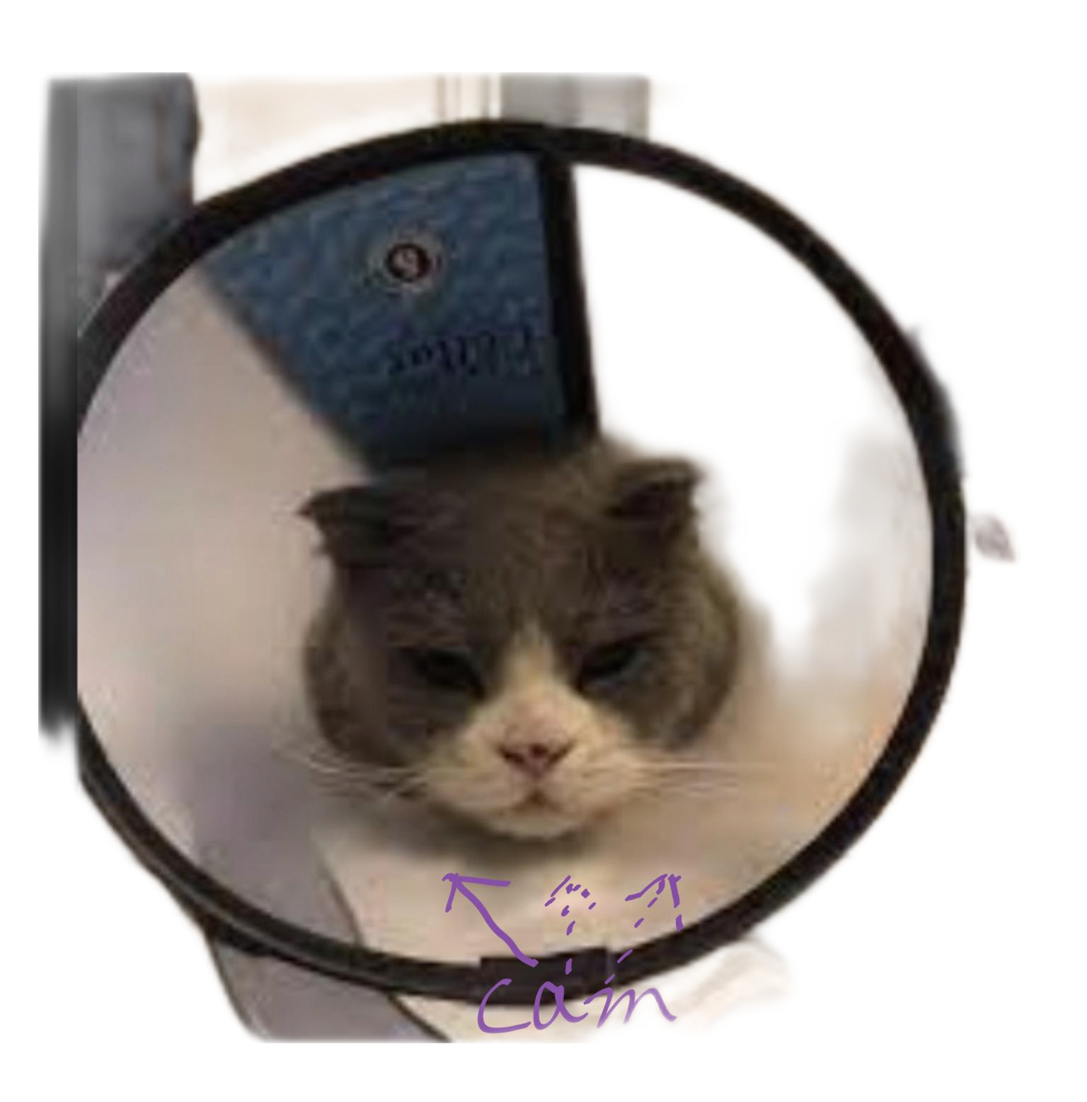 /20221130/001.png
