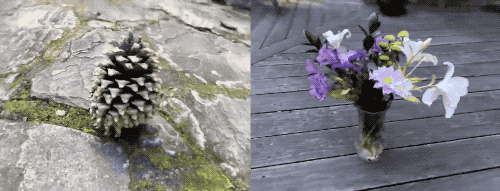 /20221130/004.gif